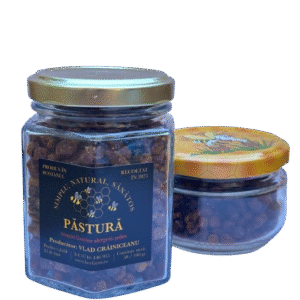 Păstură apicolă – bee bread format în fagure, produs natural al stupului